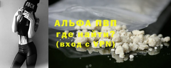 сатива Абинск