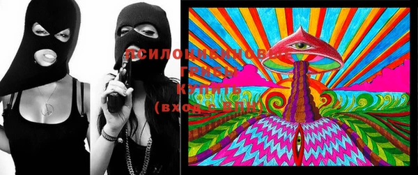 сатива Абинск
