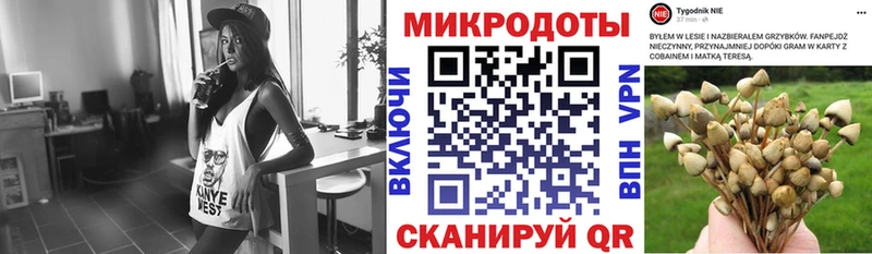 OMG как зайти  Мещовск  Галлюциногенные грибы Psilocybine cubensis 